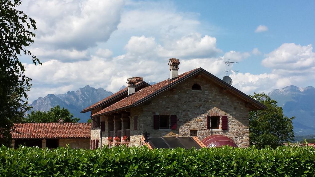 Agriturismo Casteldardo Guest House Trichiana Bagian luar foto