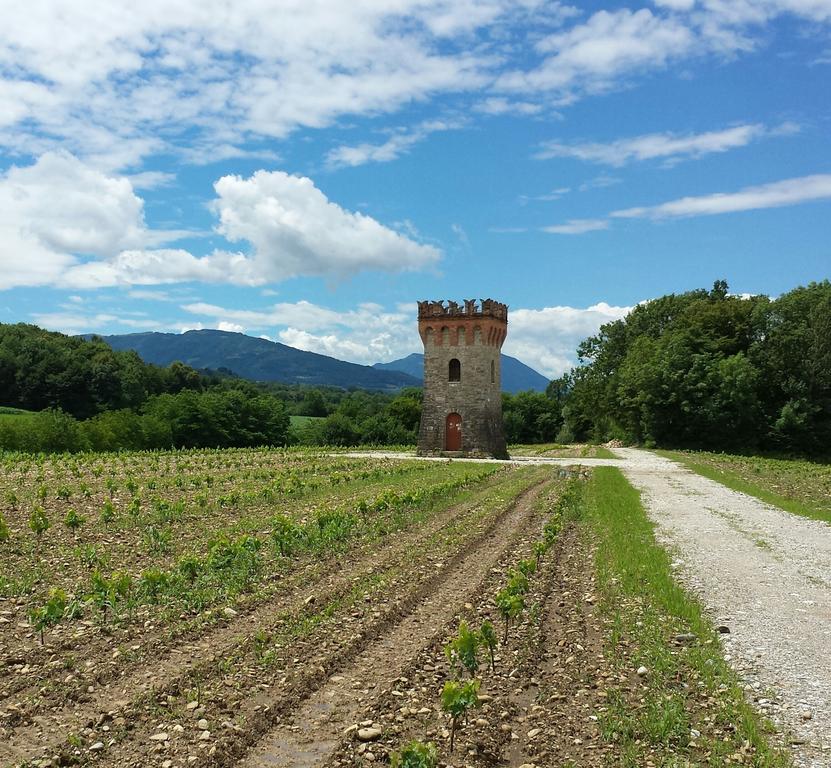 Agriturismo Casteldardo Guest House Trichiana Bagian luar foto